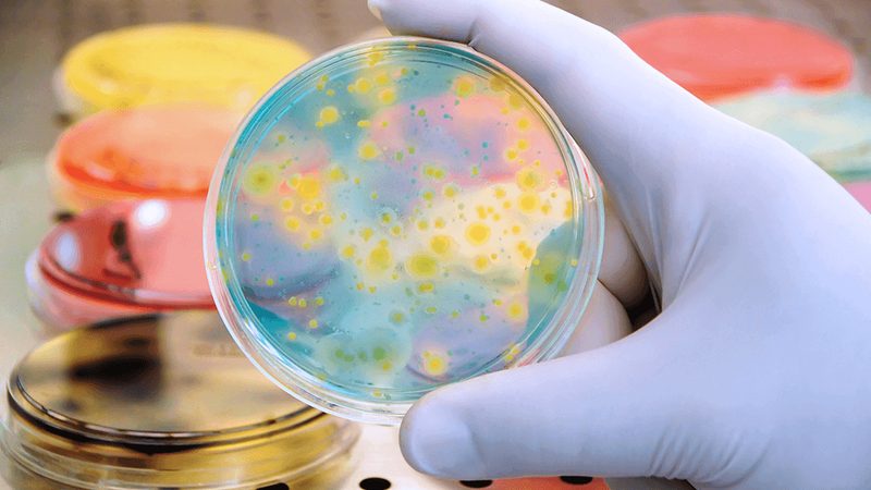 生物科技产品对比测评：揭秘如何挑选优质解决方案