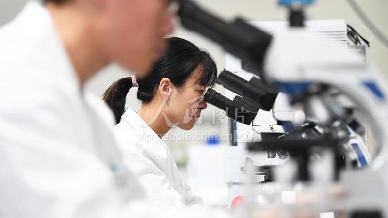 实验室耗材，助力科研之路：揭秘十大品牌背后的技术奥秘
