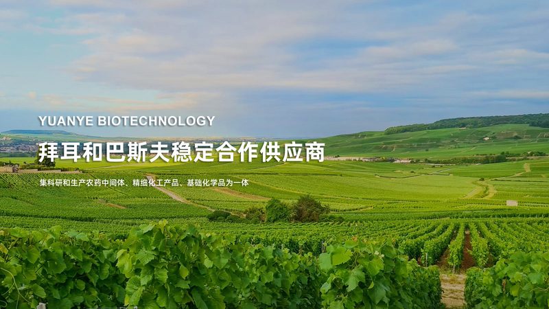 在选购实验室耗材与器材时，需要注意以下几点：