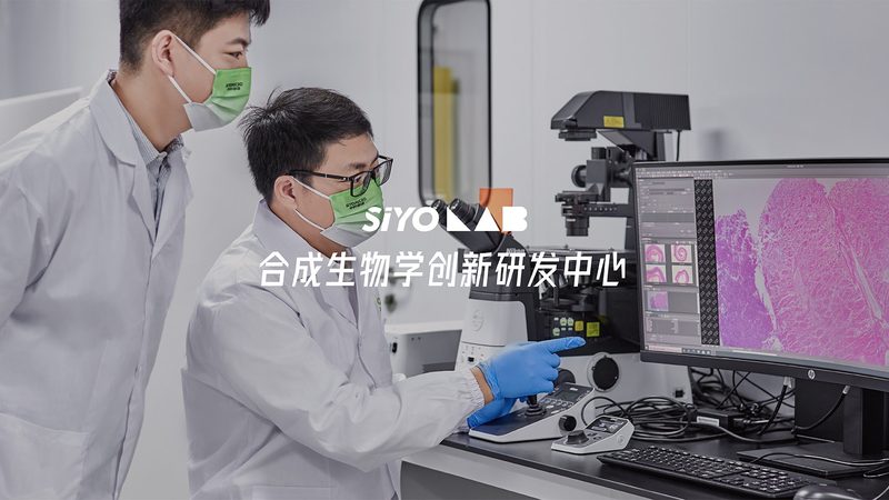 北京抗体定制重组表达：揭秘生物制药领域的“精准定制”技术**