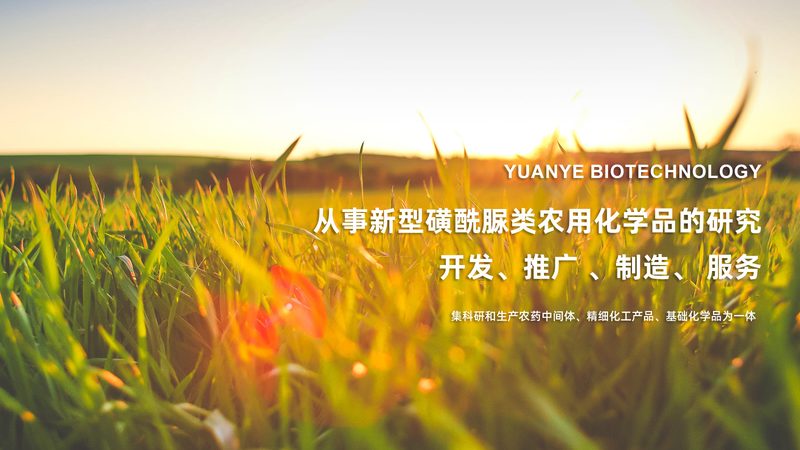 北京生物医药产业园选址，如何选择合适的合作伙伴？**