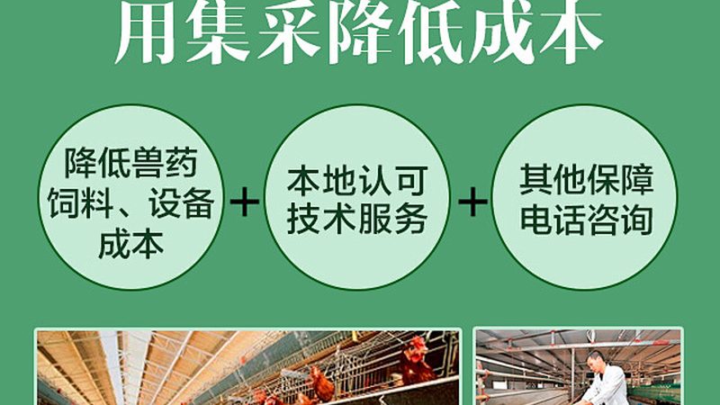 实验室耗材分类明细大全