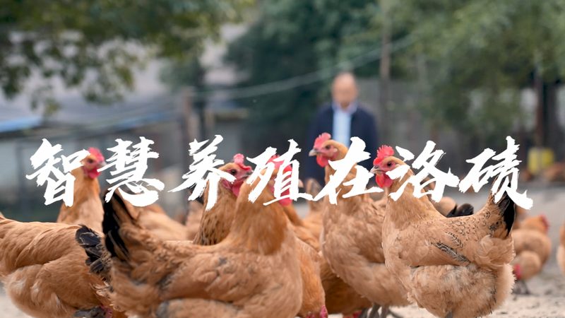 在构建报价清单时，需要关注以下选择标准：