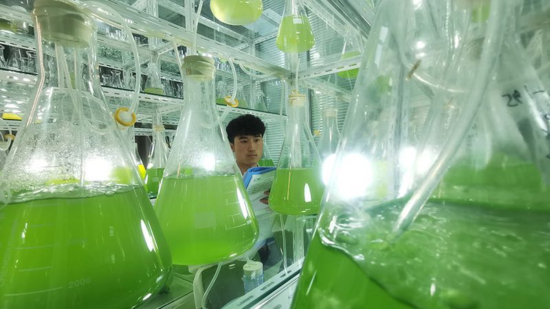 细胞工厂技术参数揭秘：揭秘细胞工厂参数表的奥秘**
